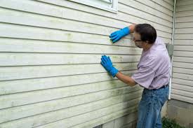 Affordable Siding Repair and Maintenance Services in East Rancho Dominguez, CA